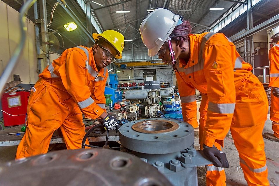 Engineering professional carrying out an industrial audit